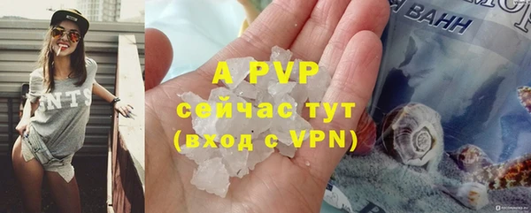 бошки Горняк