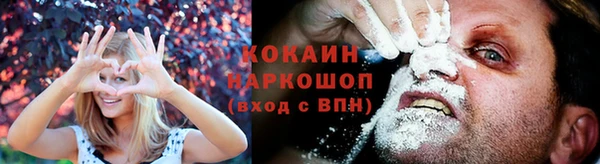 бошки Горняк