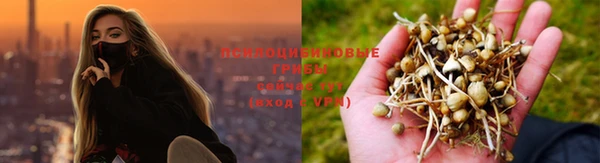 мескалин Горно-Алтайск