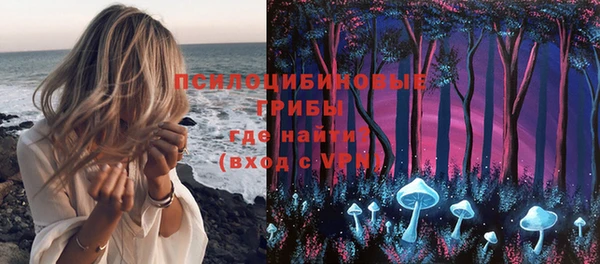 бошки Горняк