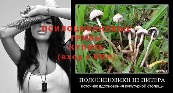 бошки Горнозаводск