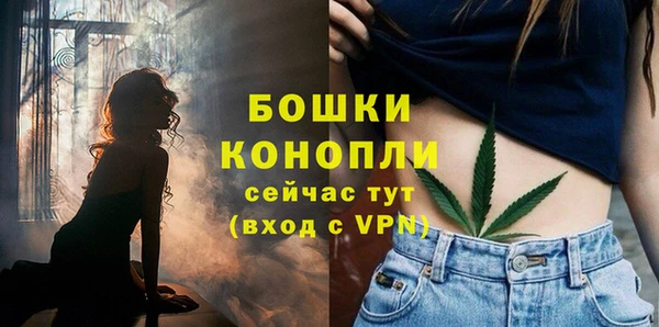 бошки Горняк