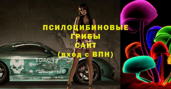 бошки Горнозаводск