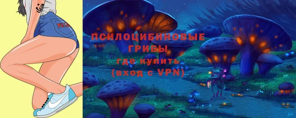 бошки Горнозаводск