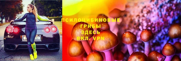 бошки Горнозаводск