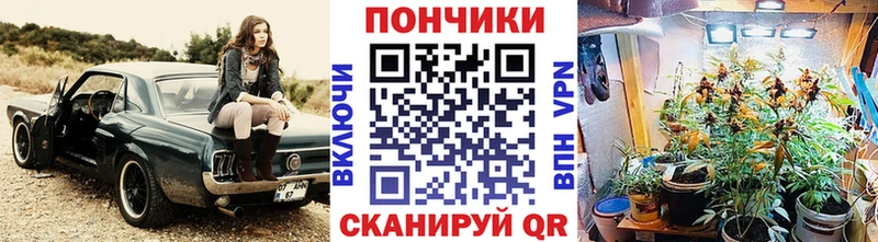 Бошки марихуана White Widow  Купить закладки  Лебедянь 